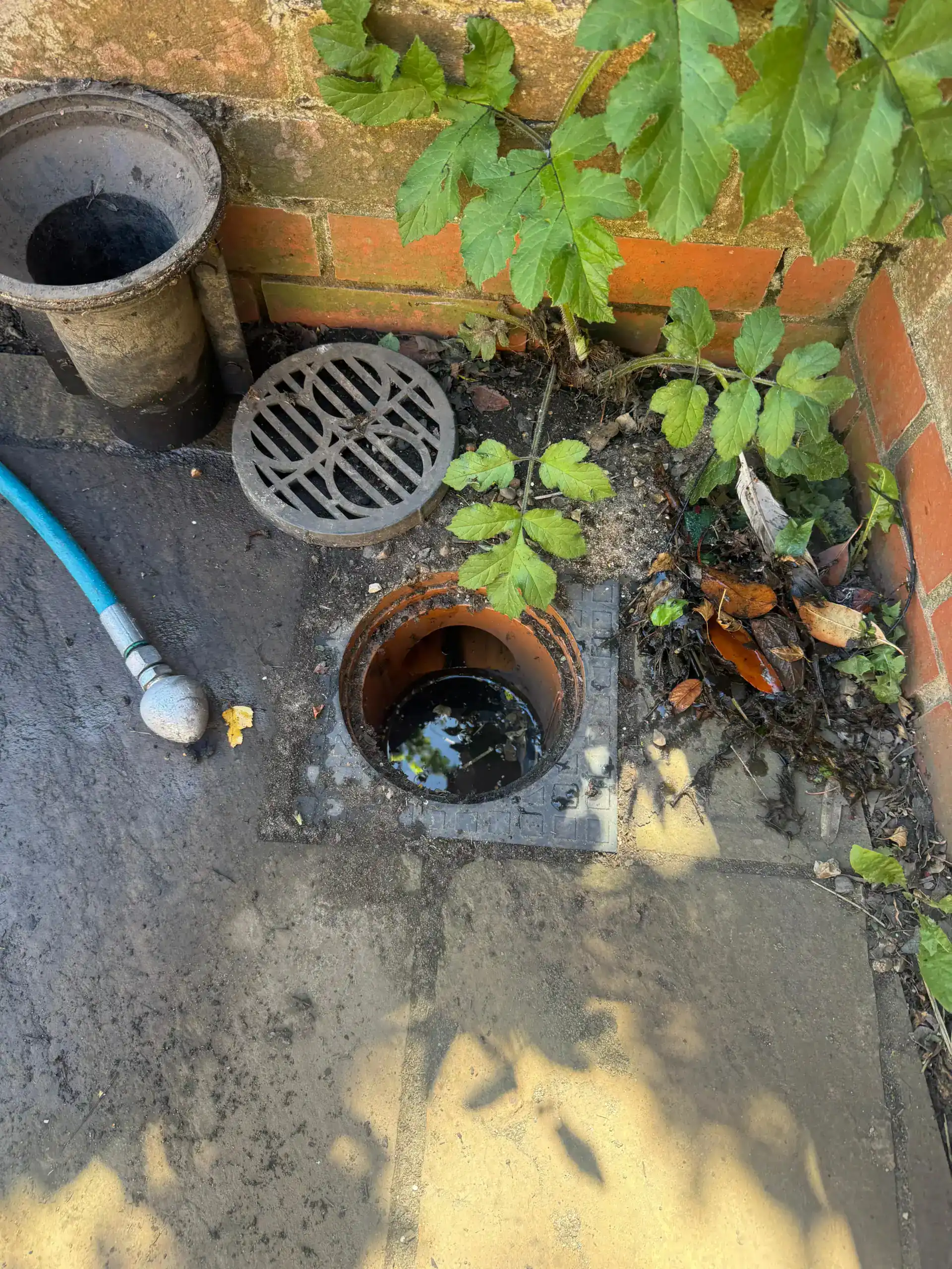 Emergency Drain Unblocking King's Lynn – residential drain inspection chamber opened during a blocked drain investigation by AM Waste Management.