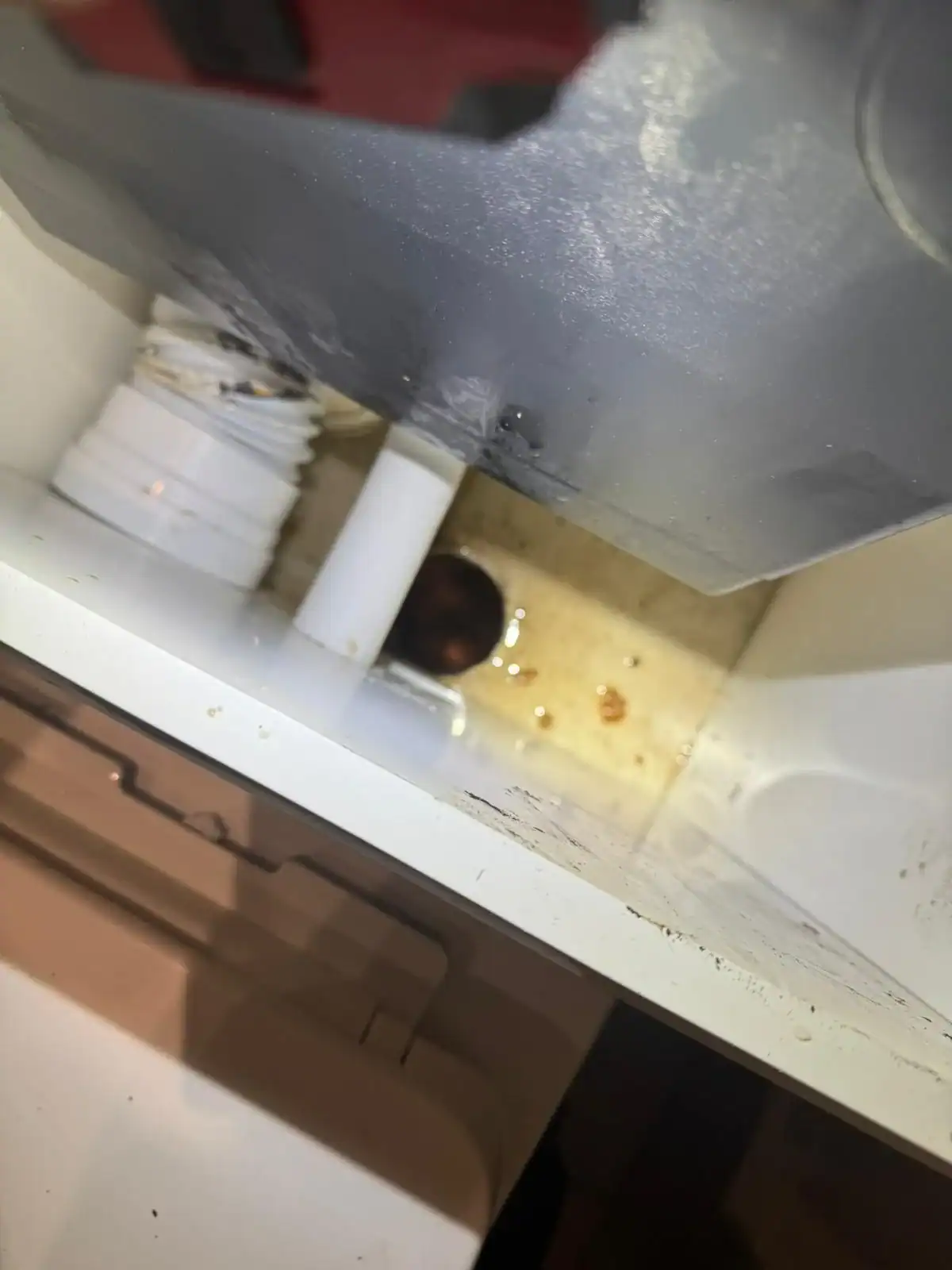 Internal signs of a blockage during emergency drain unblocking in Setchey.