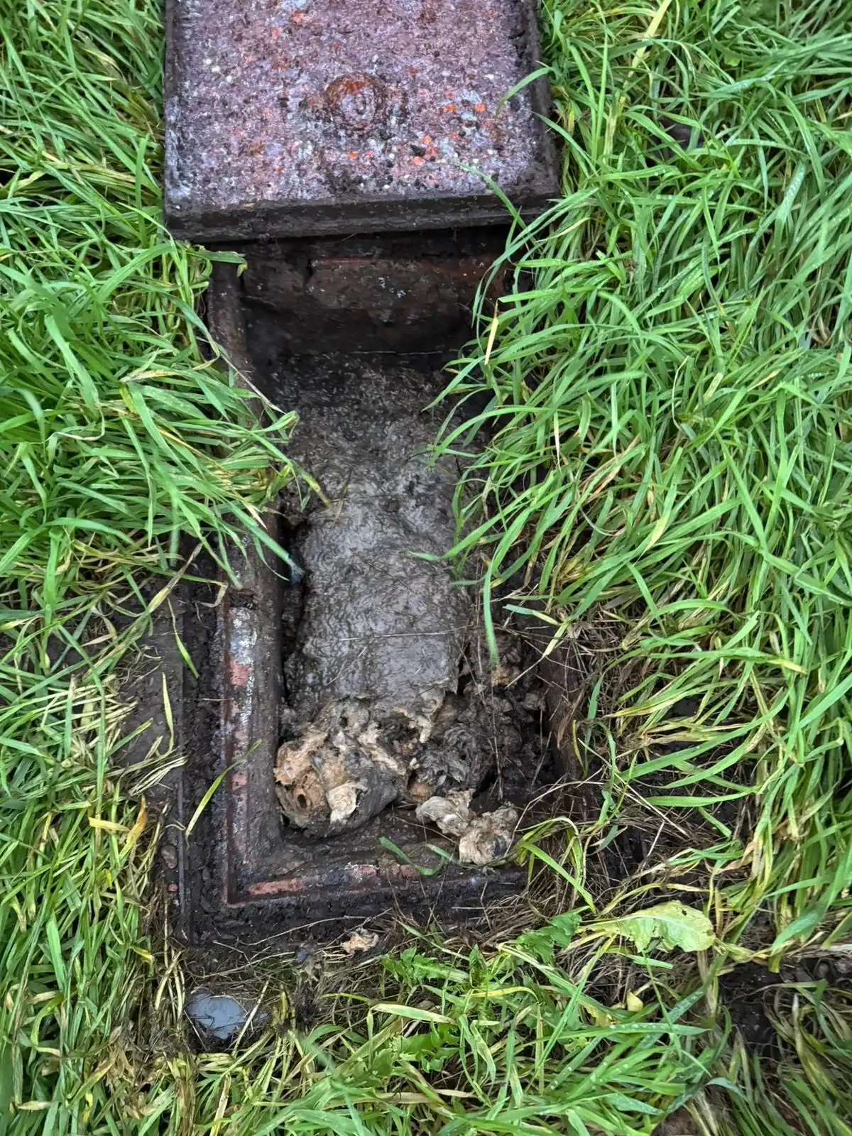 Blocked inspection chamber containing debris during emergency drain unblocking in Setchey.