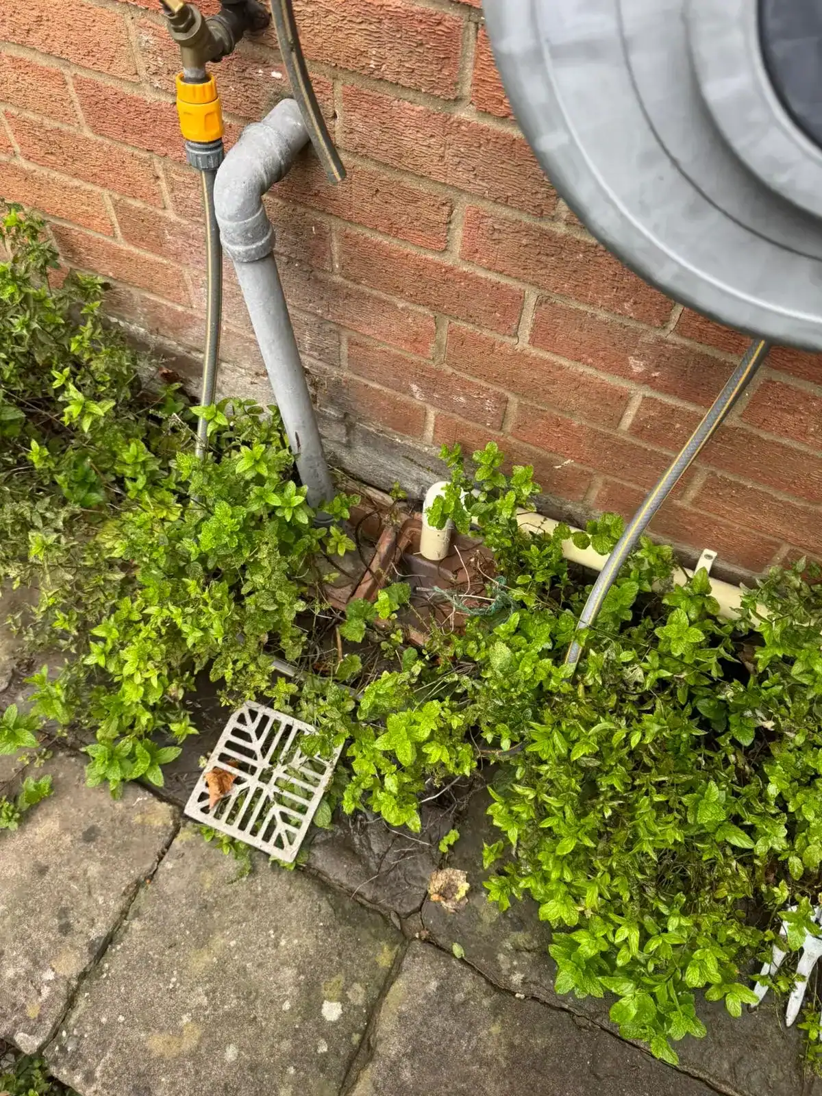 External drain access during emergency drain unblocking in North Runcton.